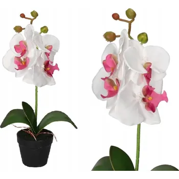 umělá květina Umělá Orchidej Top Gift 38 cm 1 ks