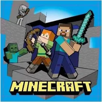 MLC • Malý dětský ručník na obličej Minecraft - 100% bavlna - 30 x 30 cm