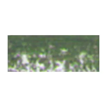 Suchý pastel Renesans – 94 Zem zelená (Suchý pastel Renesans – 94 Zem zelená)