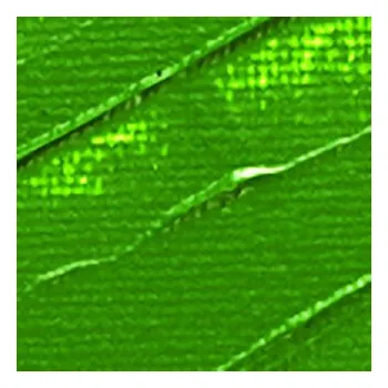 Vodová barva Akrylová barva Pébéo 250ml – 61 green earth