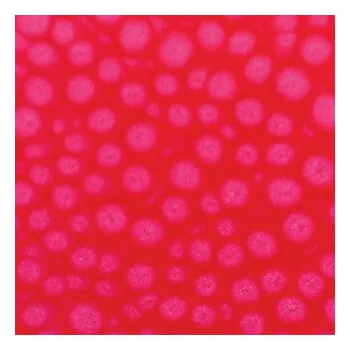 Výtvarná barva Barva Pébéo Fantasy Prisme 45ml – 62 Fluorescent pink