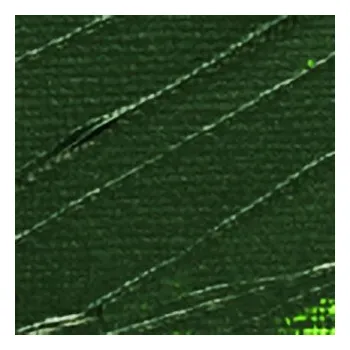 Vodová barva Akrylová barva Pébéo 250ml – 59 opaque sap green