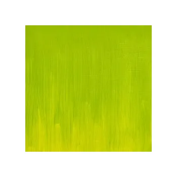 Olejová barva Olejová barva W&N Artists 37ml – 897 Cadmium Free Green Pale