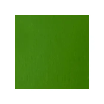 Výtvarná barva Akrylová barva Basics 118ml – 312 light green permanent