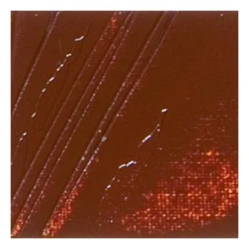 Olejová barva Olejová barva Pébéo XL 200ml – 22 burnt sienna