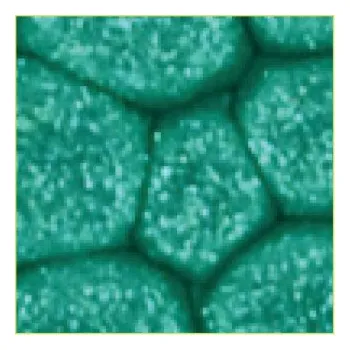 Výtvarná barva Barva Pébéo Fantasy Prisme 45ml – 18 Emerald