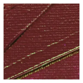 Vodová barva Akrylová barva Pébéo 250ml – 54 alizarin crimson