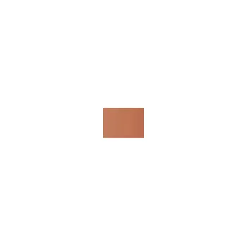 Pastel Caran d'Ache Neocolor I 069 Burnt sienna