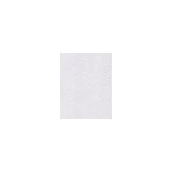 Výtvárné potřeby Copic Ink – BV0000 Pale Thistle