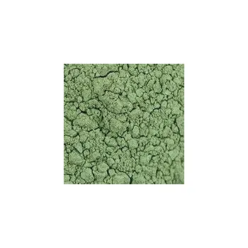 Výtvarná barva Pigment Zlatá loď 100g – 40810 Zem zelená česká pravá (PG23)