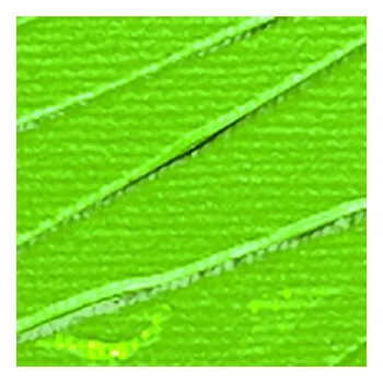 Vodová barva Akrylová barva Pébéo 250ml – 60 chrome green hue