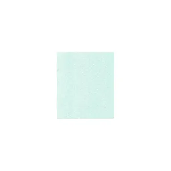 Výtvarná barva Copic Ink – BG0000 Snow Green