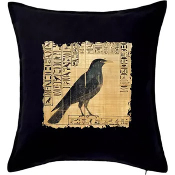 Polštář Egyptské hieroglyfy pták - Polštář 50x50 - 50x50 - Pouze potah ( Černá )