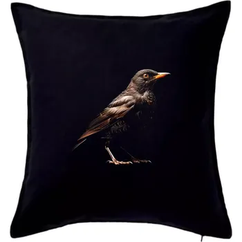 Polštář Kos černý černá fotka - Polštář 50x50 - 50x50 - Pouze potah ( Černá )