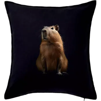 Polštář Kapybara ze předu černá fotka - Polštář 50x50 - 50x50 - Pouze potah ( Černá )