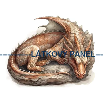 Látkový panel - Drak- DIN-09 Velikost: 50x50cm, Materiál: Bavlna