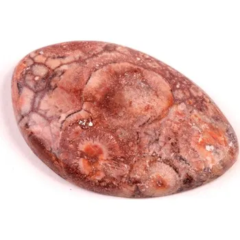 Korálek Kabošon Birds Eye Jasper č.2144 (35x23x5mm)