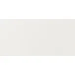 RAKO Tess WADMB450 20 x 40 cm 1 m2