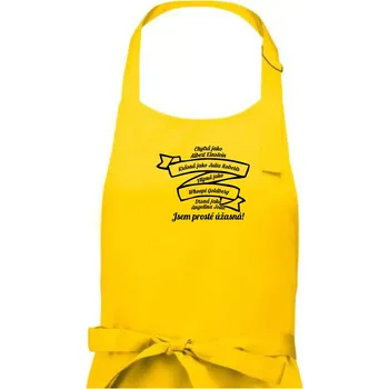 Kuchyňská zástěra Jsem prostě úžasná - Dámská zástěra na vaření - Univerzální velikost ( Žlutá )