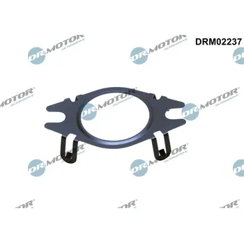 Výfukový systém Těsnění, vedení AGR ventilu Dr.Motor Automotive DRM02237