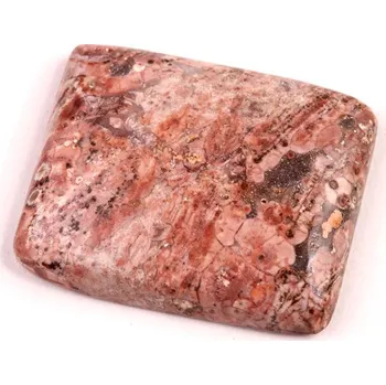 Korálek Kabošon Birds Eye Jasper č.2151 (31x26x6mm)