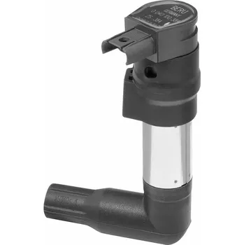 Zapalovací cívka Zapalovací cívka BorgWarner (BERU) ZS384