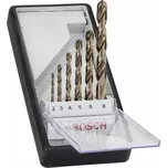 BOSCH RobustLine HSS-Co 2607019924 6 ks