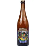 Matuška Ipa Zlatá Raketa 17° 0,75 l sklo