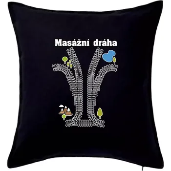 Polštář Masážní dráha - Polštář 50x50 - 50x50 - Pouze potah ( Černá )