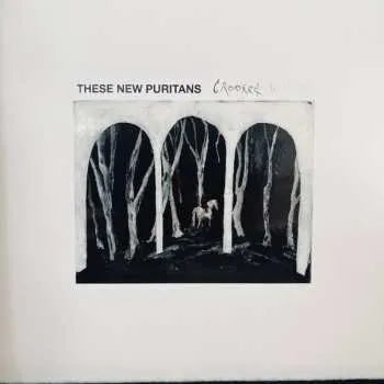 Zahraniční hudba LP These New Puritans: Crooked Wing CLR 2025 Clear Vinyl