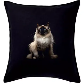 Polštář Kočka Ragdoll ze předu černá fotka - Polštář 50x50 - 50x50 - Pouze potah ( Černá )