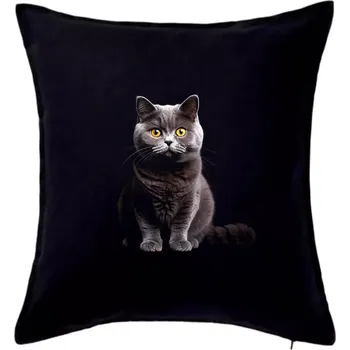 Polštář Britská kočka černá fotka - Polštář 50x50 - 50x50 - Pouze potah ( Černá )