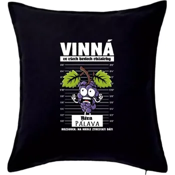 Polštář Vinná réva odsouzena Pálava - Polštář 50x50 - 50x50 - Pouze potah ( Černá )