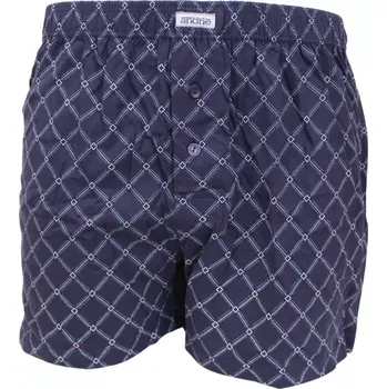 Trenýrky Elegantní pánské trenky Andrie PS 5840 navy velikost L-50/52