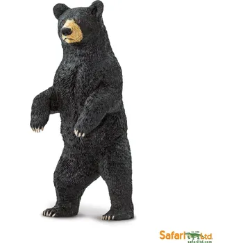 Safari Black Bear