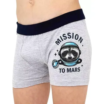 Chlapecké oblečení Chlapecké boxerky Cornette Kids Mission 2 sv.šedé velikost 98/104