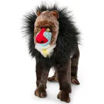 Living Nature Mandrill