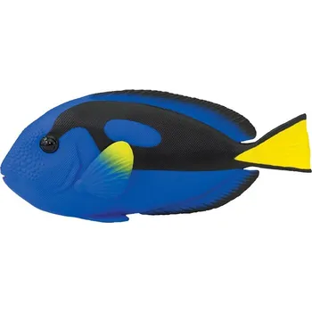 Safari Blue Tang