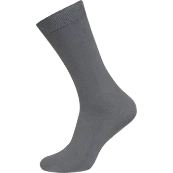 Pánské ponožky Ponožky Hoza H015 šedá velikost 29-31