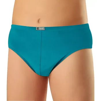 Slipy Pánské slipy bambus/bavlna/lycra Andrie PS 3585 tyrkys velikost 3XL-62/64