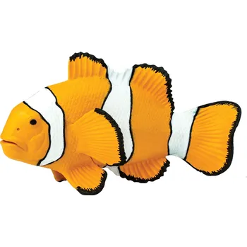 Safari Clown Anemonefish 11,5 cm