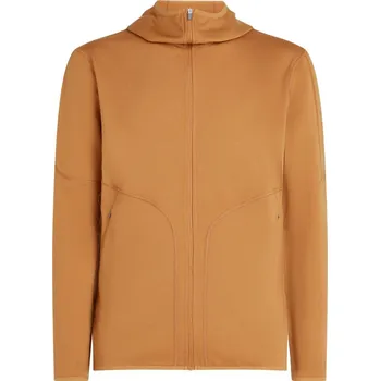 Pánská mikina ICEBREAKER Mens 560 Realfleece Elemental II LS Zip Hood, Trail (vzorek) velikost: M