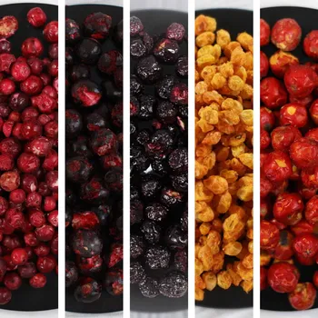 Sušené ovoce Lyopotraviny s.r.o. MiXniSi brusinky, černý rybíz, aronie, BIO rakytník, sladkoplodý jeřáb (sušeno mrazem) Hmotnost balení: 85 g