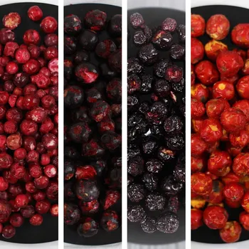 Sušené ovoce Lyopotraviny s.r.o. MiXniSi brusinky, černý rybíz, aronie, sladkoplodý jeřáb (sušeno mrazem) Hmotnost balení: 50 g