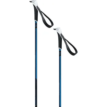 Běžkařská hole Swix Dynamic D2 Junior 110