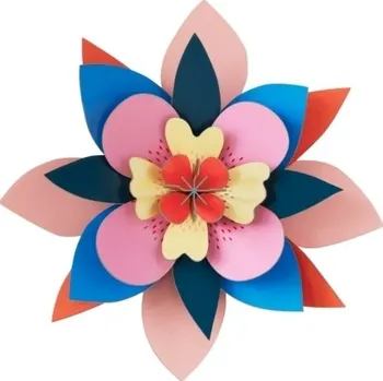 Studio Roof Dragonfruit Punch