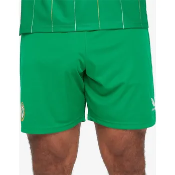 Pánské kraťasy Kraťasy Castore Caviar 1143374 M