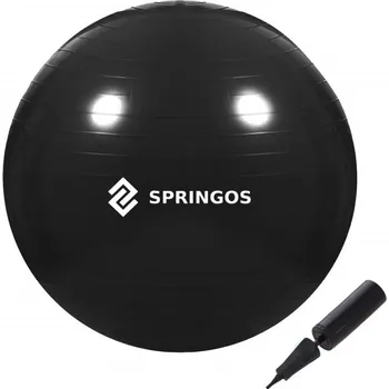 Gymnastický míč Gymnastický míč 65 cm + pumpička SPRINGOS DYNAMIC černý