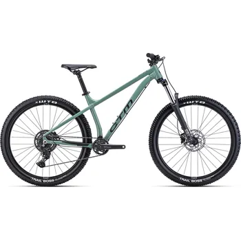 Horské kolo CTM Zephyr Comp 29" Dark Sage/Glossy Black 2024, L