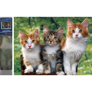 Diamantové malování Norimpex Diamantové malování Kočky 30 x 40 cm